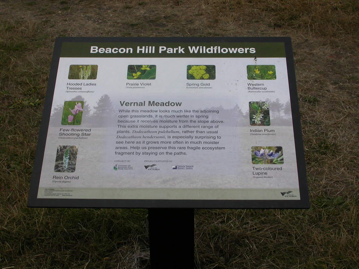 BeaconHillSign web