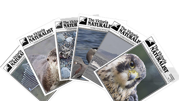 naturalistmagazines