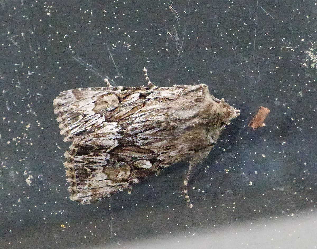 P1090320.JPG