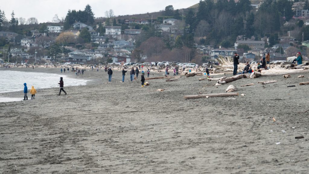 Esquimalt Lagoon Beachgoers