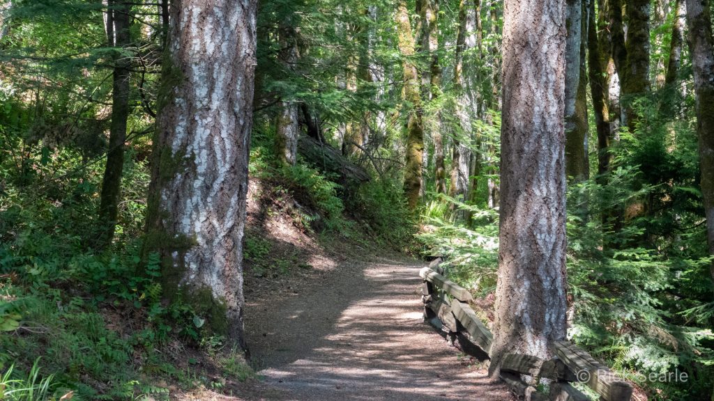 Havenwood Park trail